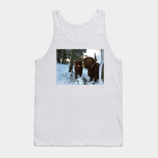 Scottish Highland Cattle Cow and Calf 1621 Tank Top